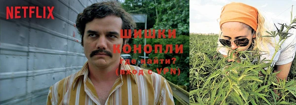 первитин Гусь-Хрустальный