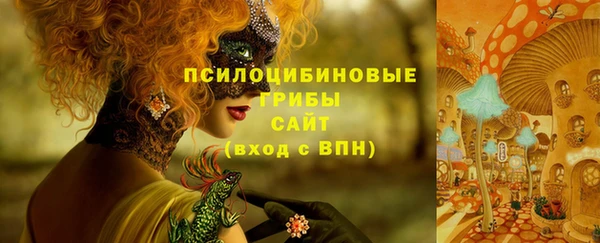 первитин Гусь-Хрустальный
