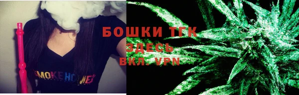 кокс Гусев