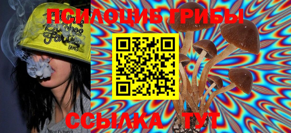 Хасавюрт  Псилоцибиновые грибы MAGIC MUSHROOMS  Вход с VPN 